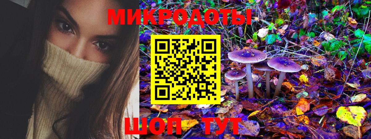 Псилоцибиновые грибы Psilocybine cubensis Канаш