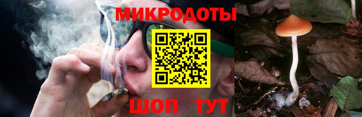 Галлюциногенные грибы Psilocybine cubensis  Вход с VPN  Канаш  Псилоцибиновые грибы GOLDEN TEACHER 